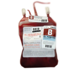 Blood bag